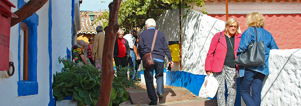 450 seniores festejam Dia do Idoso com passeio