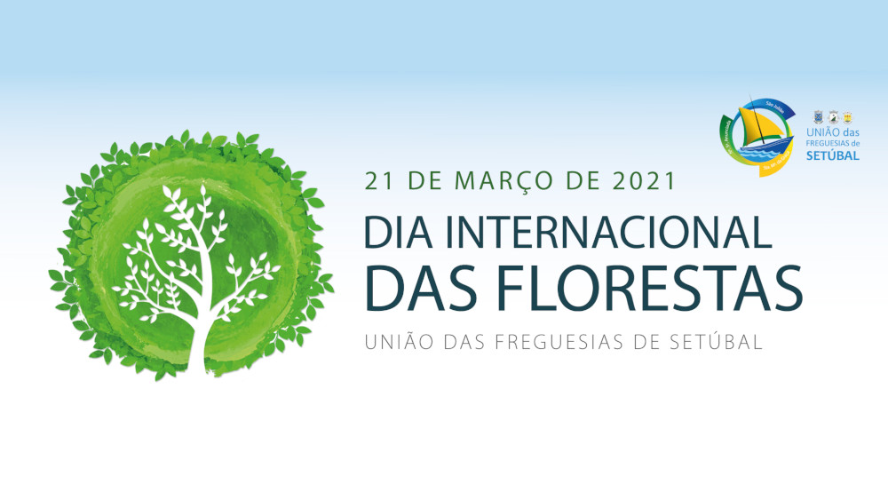 Dia Internacional das Florestas - 21 de março