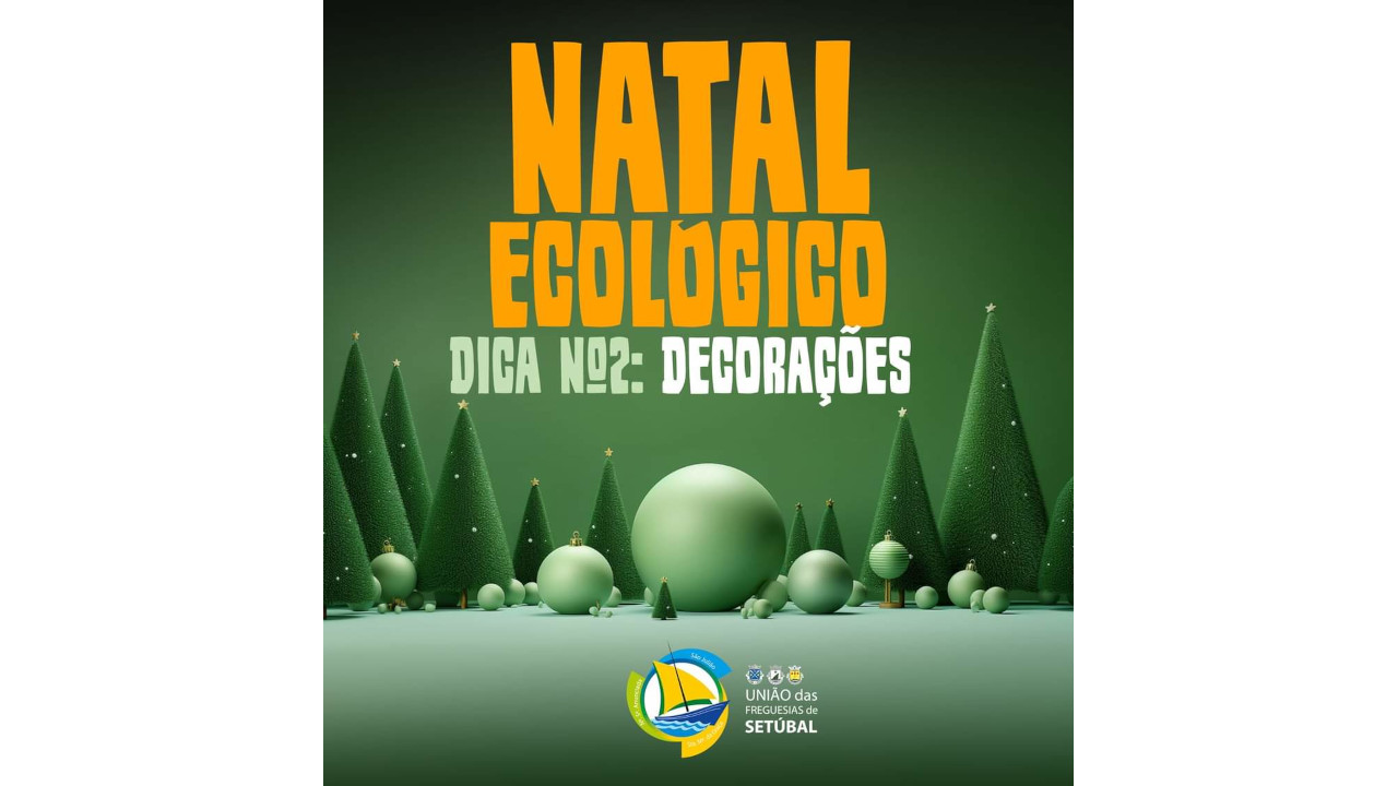 Natal Ecológico #Dica2 - Decorações