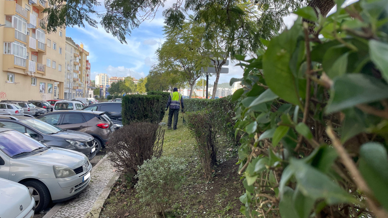 Manutenção dos espaços verdes prossegue em vários pontos da freguesia