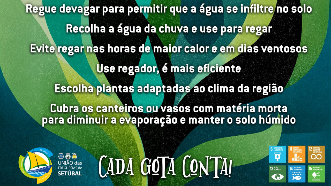 Poupe água no jardim - cada gota conta!