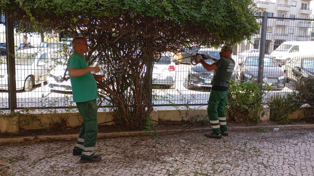 Preparar as escolas para um novo ano letivo