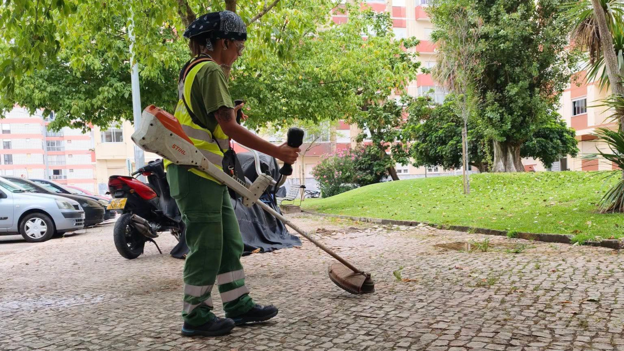 Rua a rua, o trabalho de corte e deservagem continua