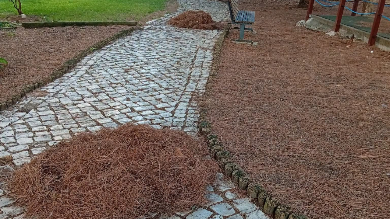 Antes e depois: mais uma limpeza concluída