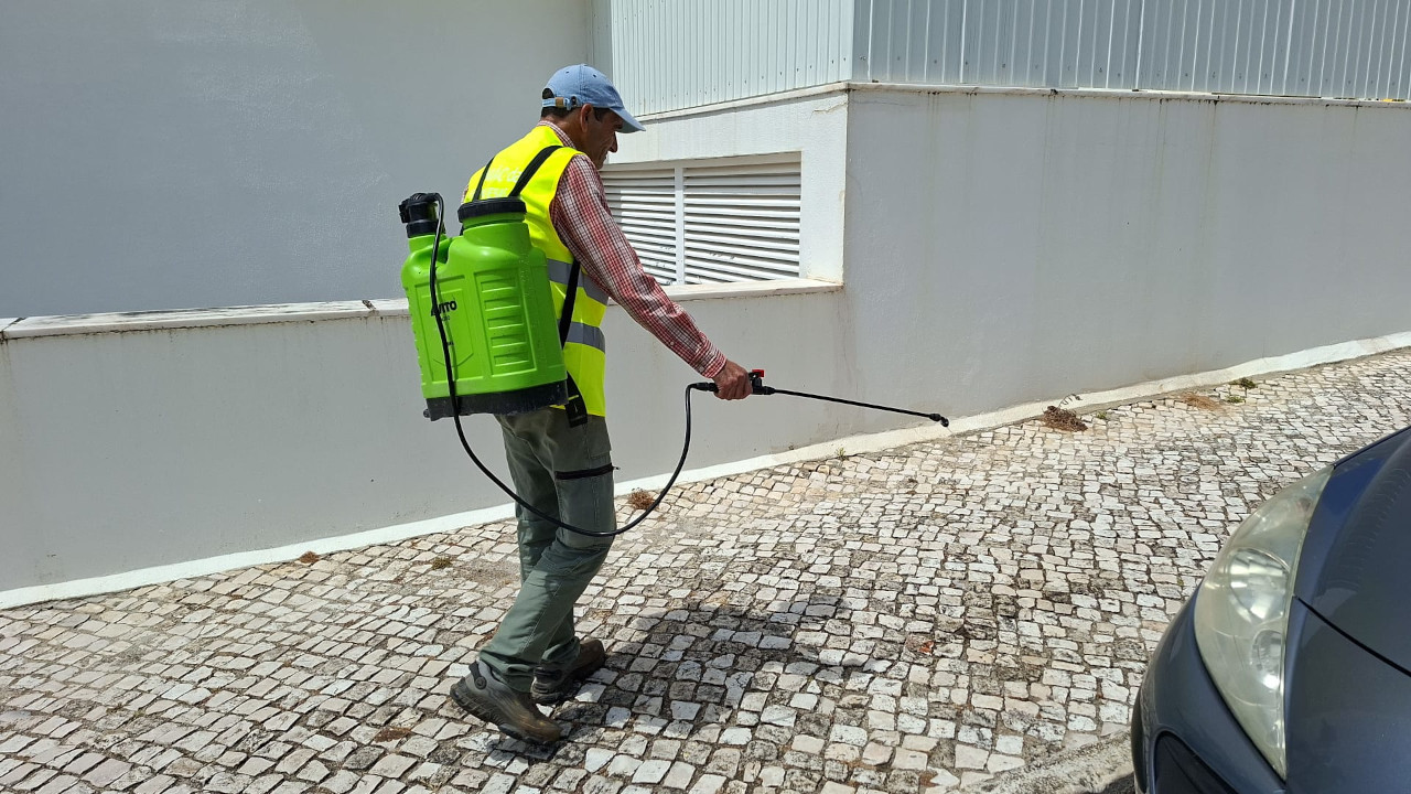 Intervenção na vegetação em espaço público
