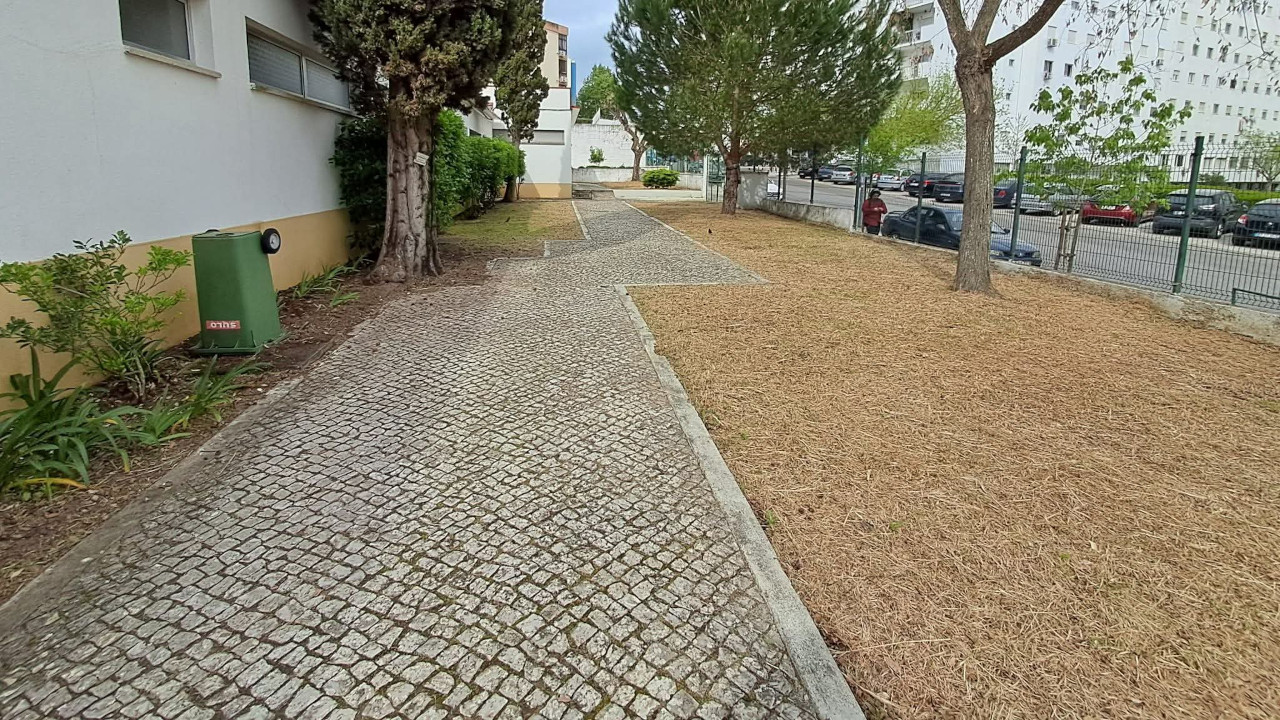 Aproveitámos a pausa escolar para cuidar do que é nosso