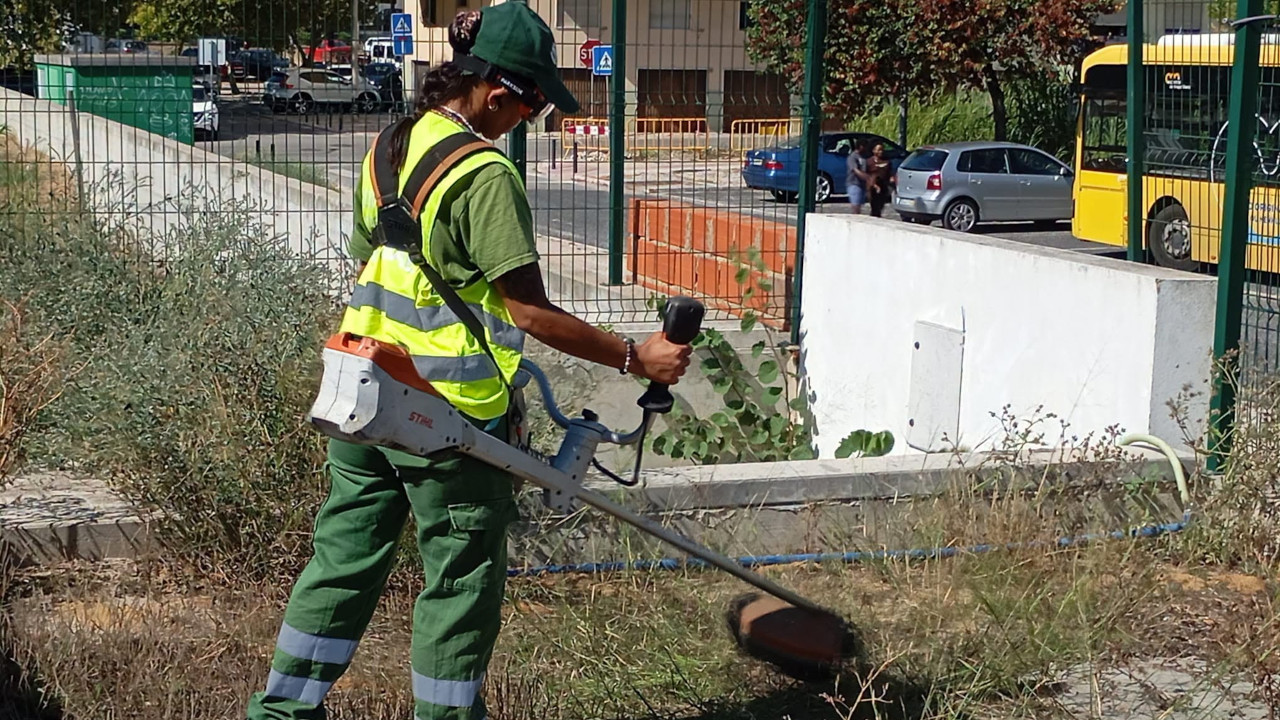Um campo preparado para novos desafios
