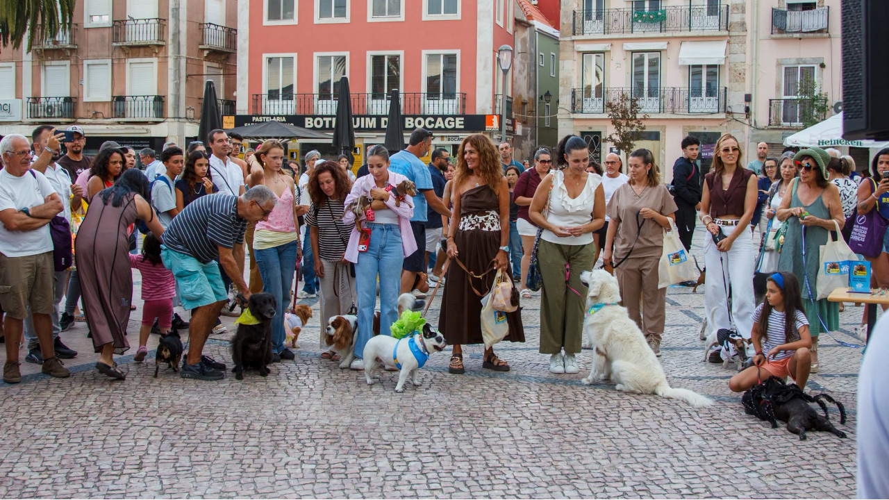 Setúbal recebeu o Festival V.I.P. – Very Important Pets