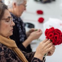 Cravos de Abril avançam a bom ritmo