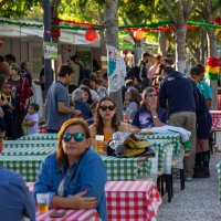 Fest&#039;Asso 2024