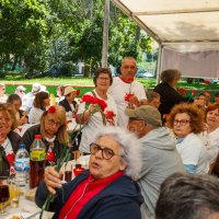 Piquenique e Arraial da Liberdade