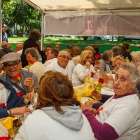 Piquenique e Arraial da Liberdade