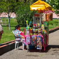 Piquenique e Arraial da Liberdade