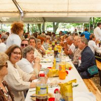Piquenique e Arraial da Liberdade